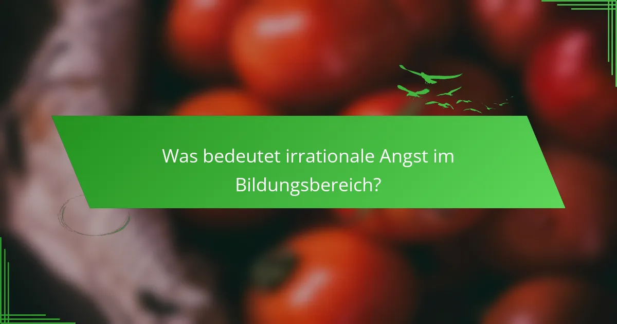 Was bedeutet irrationale Angst im Bildungsbereich?