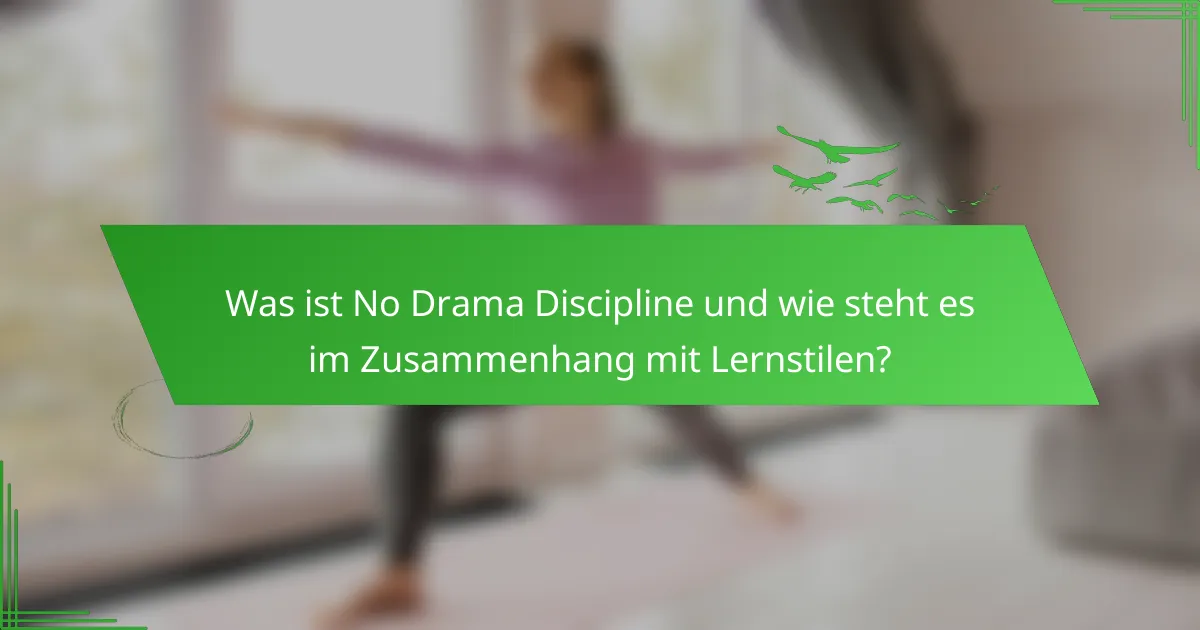 Was ist No Drama Discipline und wie steht es im Zusammenhang mit Lernstilen?