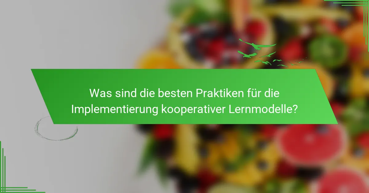 Was sind die besten Praktiken für die Implementierung kooperativer Lernmodelle?