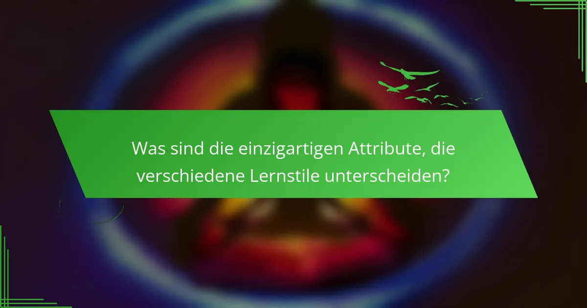 Was sind die einzigartigen Attribute, die verschiedene Lernstile unterscheiden?