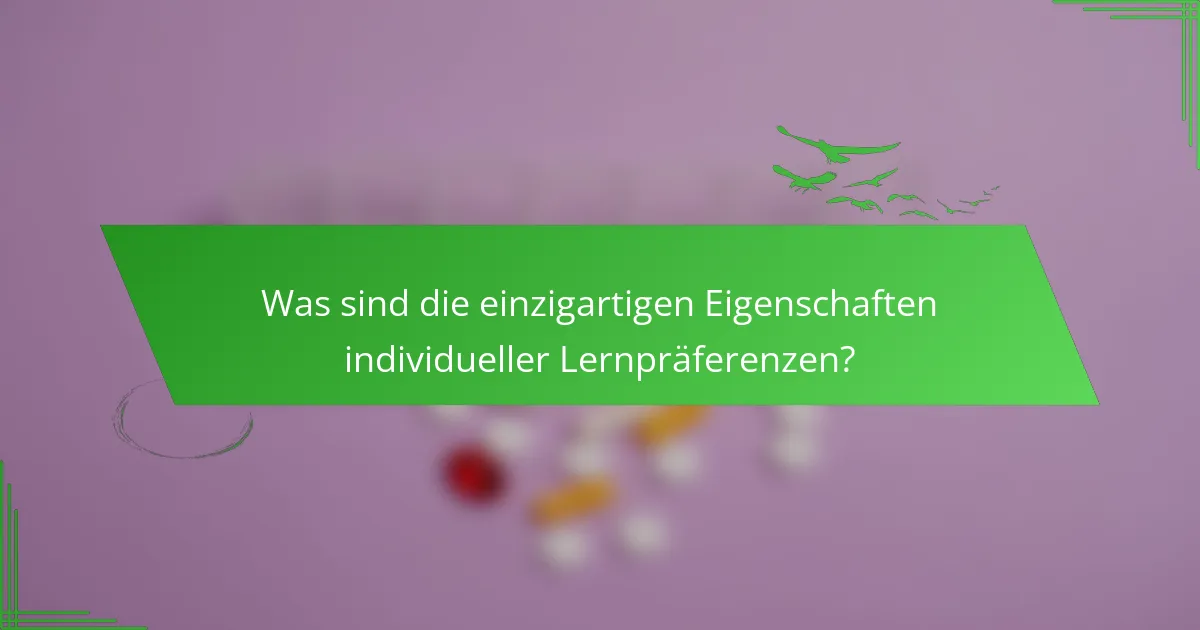 Was sind die einzigartigen Eigenschaften individueller Lernpräferenzen?