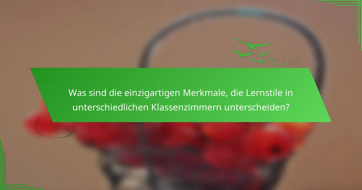Was sind die einzigartigen Merkmale, die Lernstile in unterschiedlichen Klassenzimmern unterscheiden?
