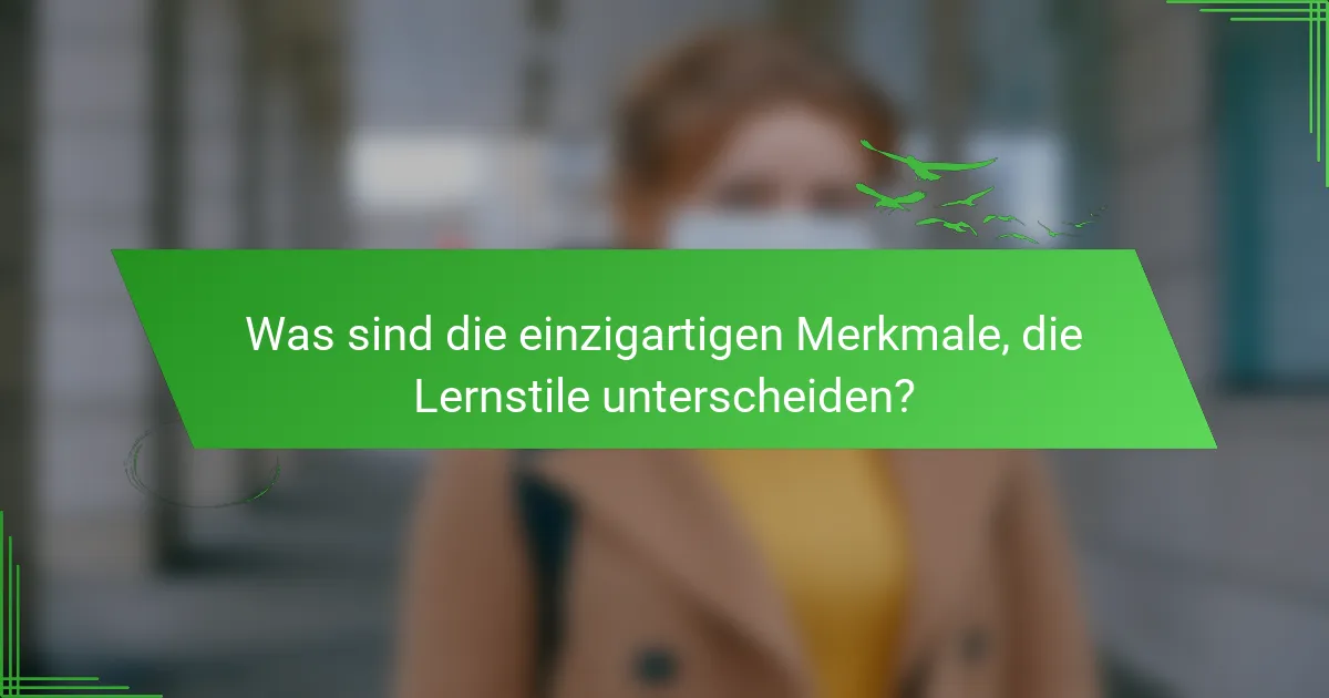 Was sind die einzigartigen Merkmale, die Lernstile unterscheiden?