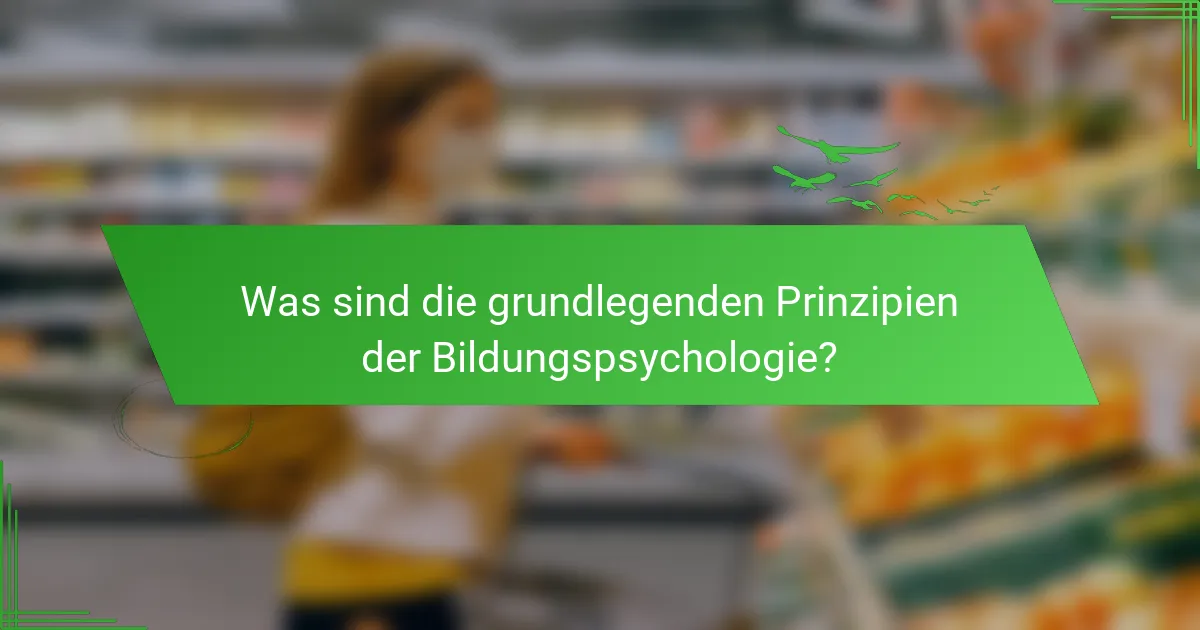 Was sind die grundlegenden Prinzipien der Bildungspsychologie?