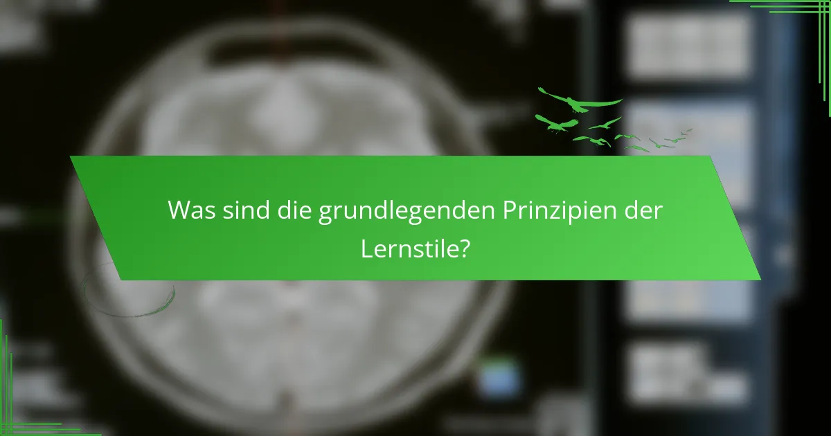 Was sind die grundlegenden Prinzipien der Lernstile?