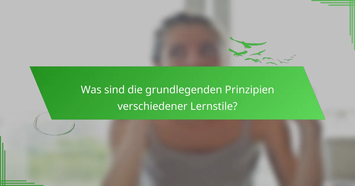Was sind die grundlegenden Prinzipien verschiedener Lernstile?