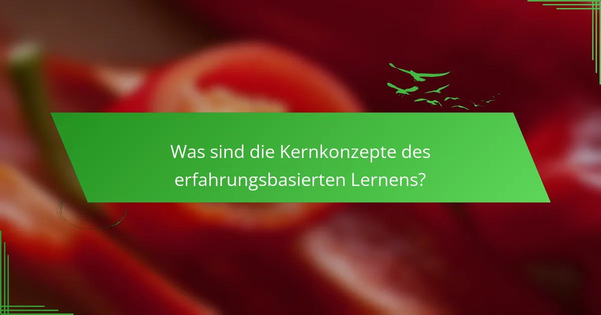 Was sind die Kernkonzepte des erfahrungsbasierten Lernens?