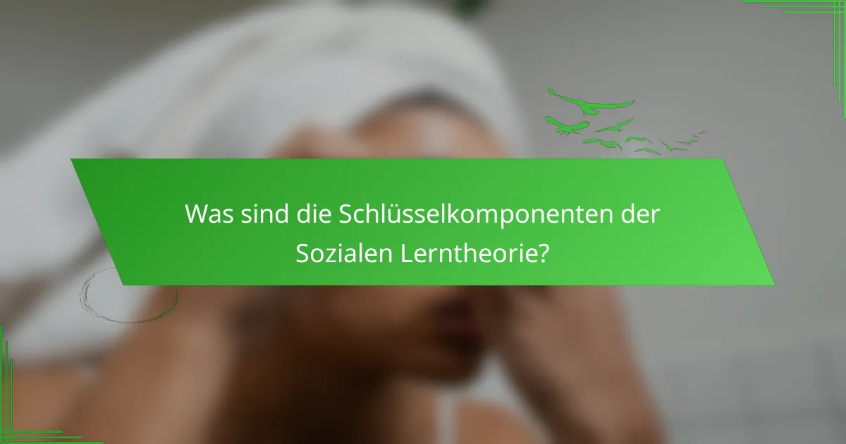 Was sind die Schlüsselkomponenten der Sozialen Lerntheorie?