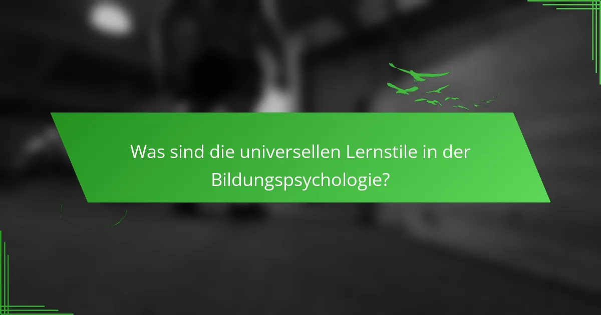 Was sind die universellen Lernstile in der Bildungspsychologie?