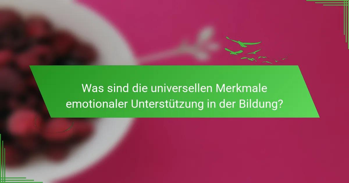 Was sind die universellen Merkmale emotionaler Unterstützung in der Bildung?