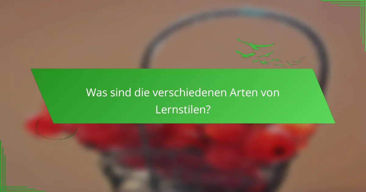 Was sind die verschiedenen Arten von Lernstilen?