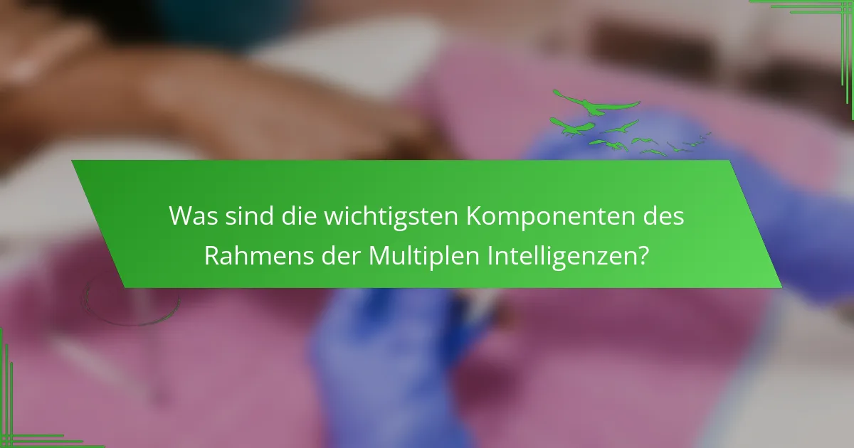 Was sind die wichtigsten Komponenten des Rahmens der Multiplen Intelligenzen?