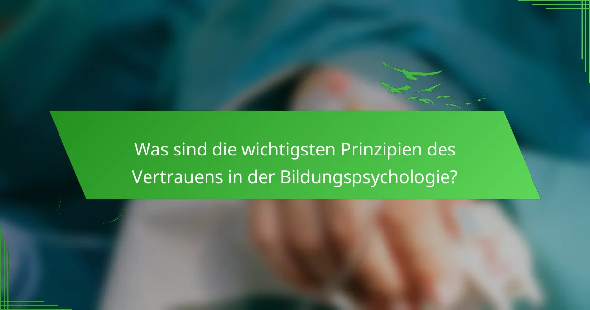 Was sind die wichtigsten Prinzipien des Vertrauens in der Bildungspsychologie?