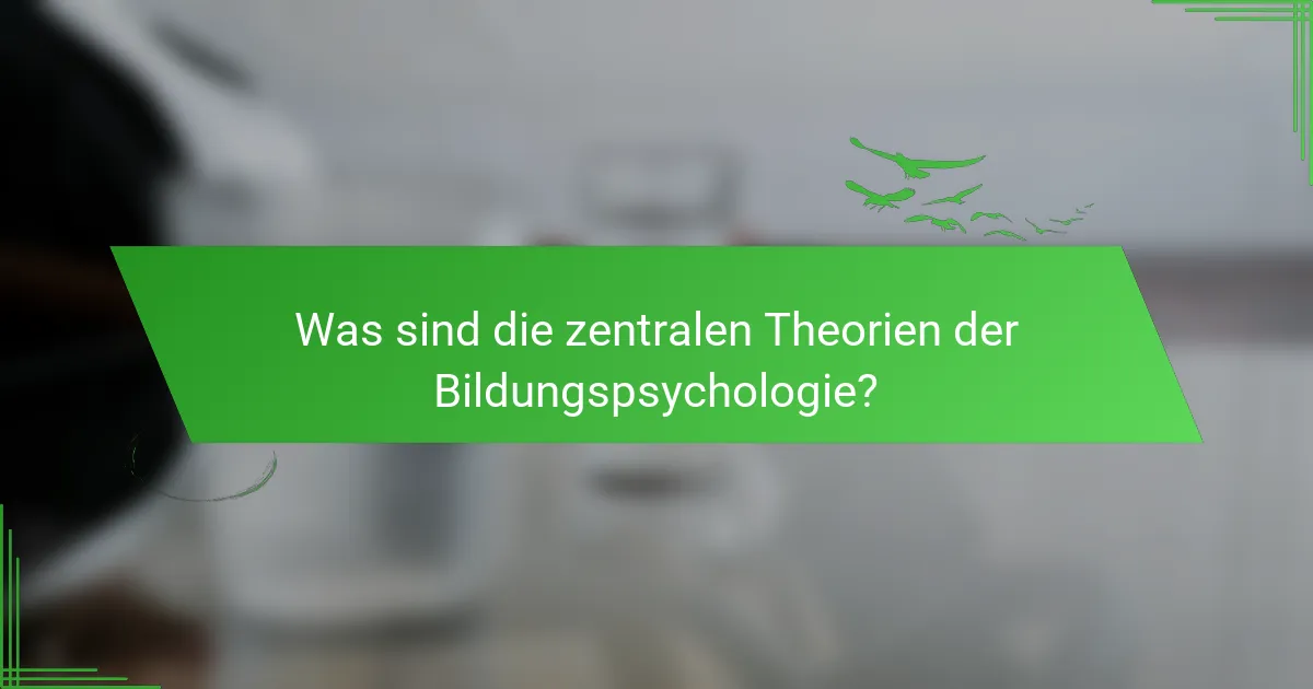 Was sind die zentralen Theorien der Bildungspsychologie?