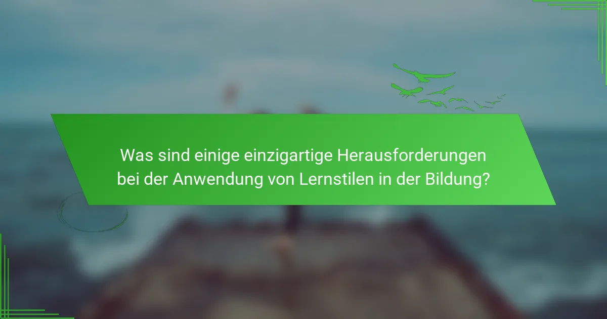 Was sind einige einzigartige Herausforderungen bei der Anwendung von Lernstilen in der Bildung?