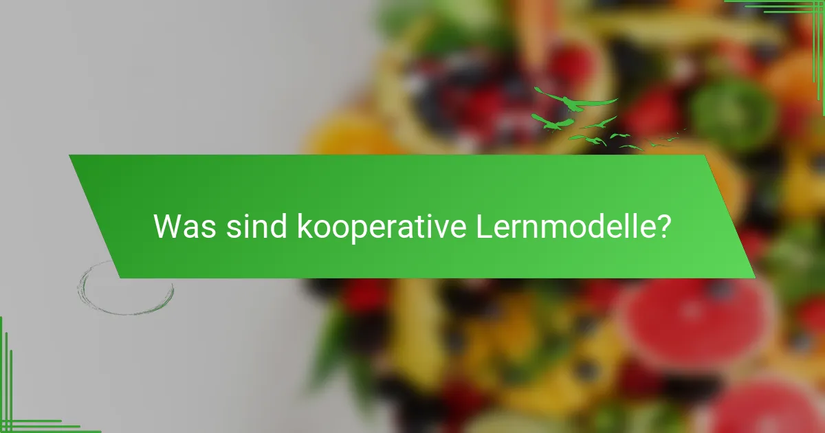 Was sind kooperative Lernmodelle?