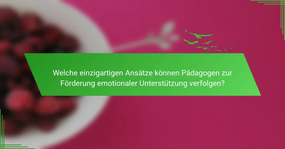 Welche einzigartigen Ansätze können Pädagogen zur Förderung emotionaler Unterstützung verfolgen?