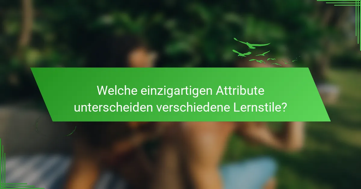 Welche einzigartigen Attribute unterscheiden verschiedene Lernstile?