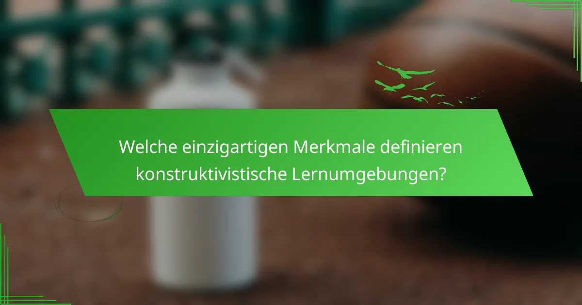 Welche einzigartigen Merkmale definieren konstruktivistische Lernumgebungen?