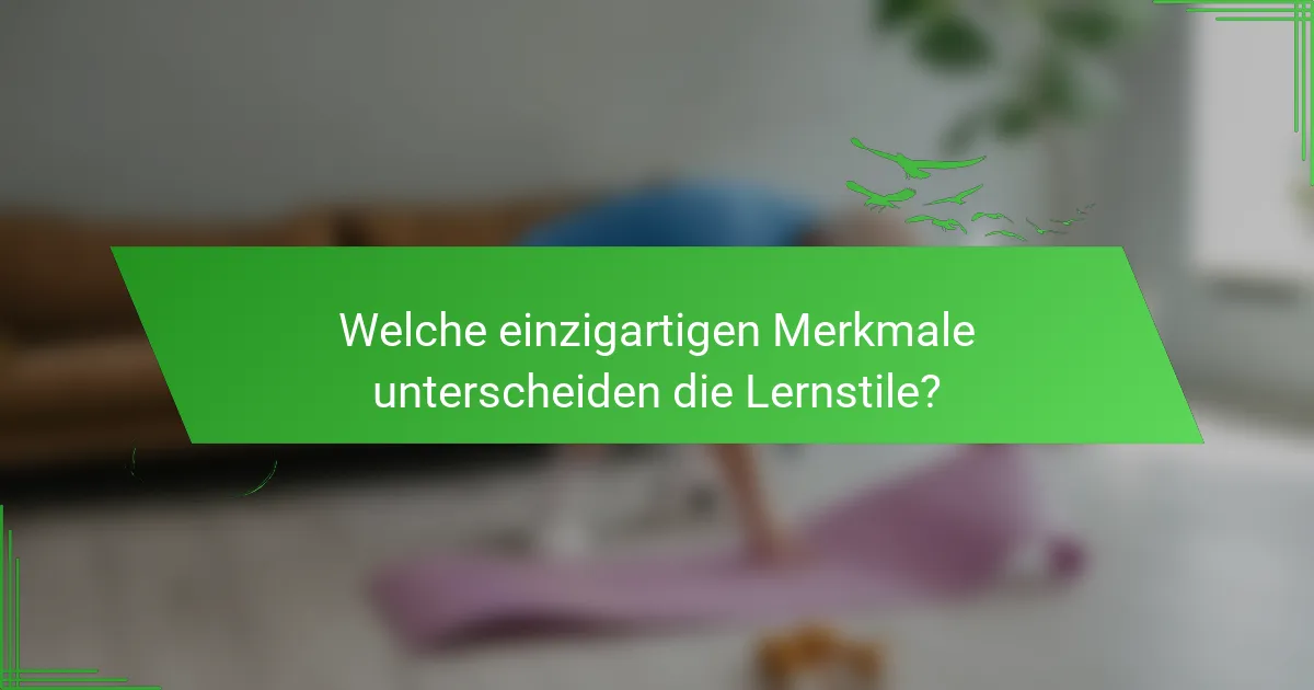 Welche einzigartigen Merkmale unterscheiden die Lernstile?