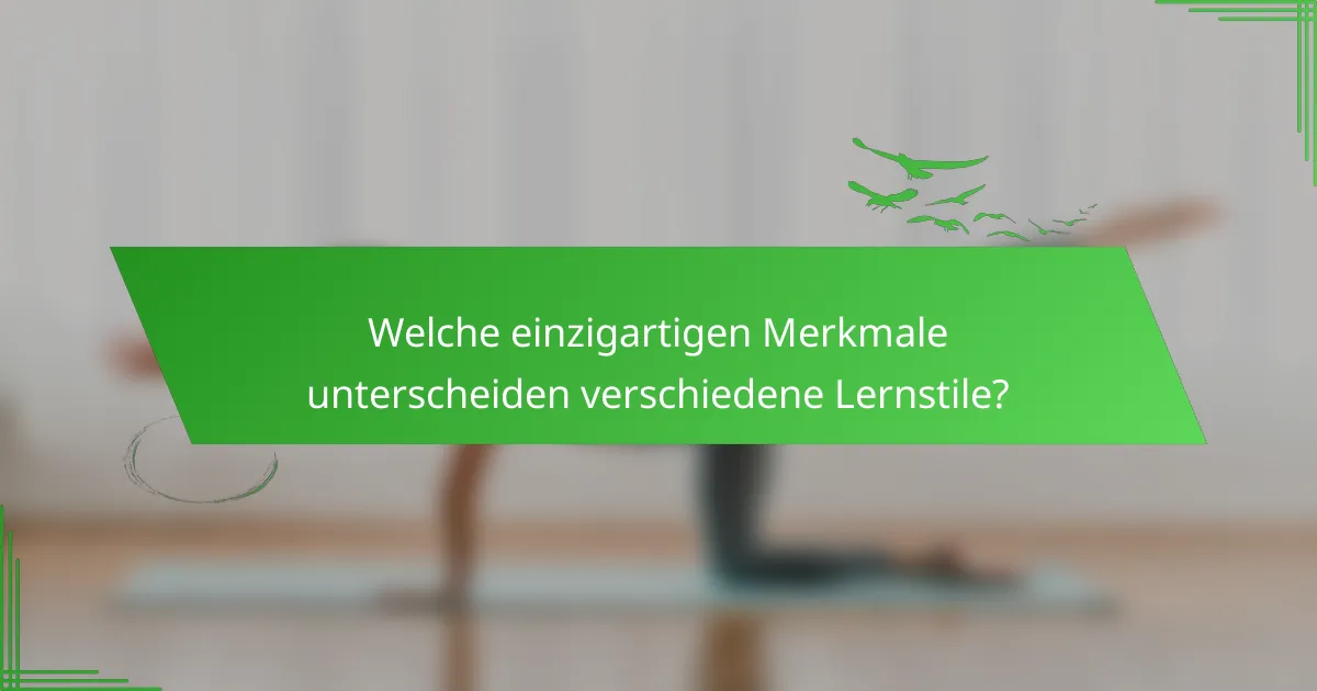 Welche einzigartigen Merkmale unterscheiden verschiedene Lernstile?
