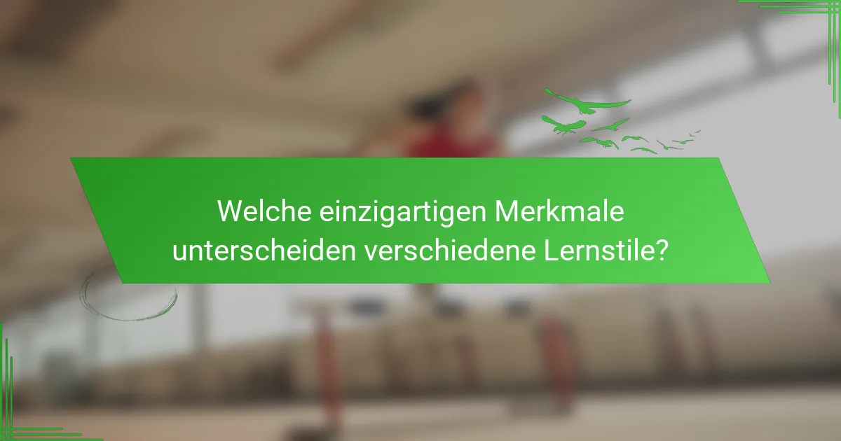Welche einzigartigen Merkmale unterscheiden verschiedene Lernstile?