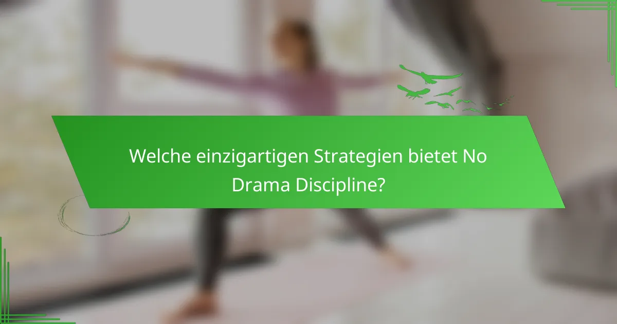 Welche einzigartigen Strategien bietet No Drama Discipline?