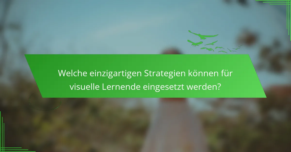 Welche einzigartigen Strategien können für visuelle Lernende eingesetzt werden?