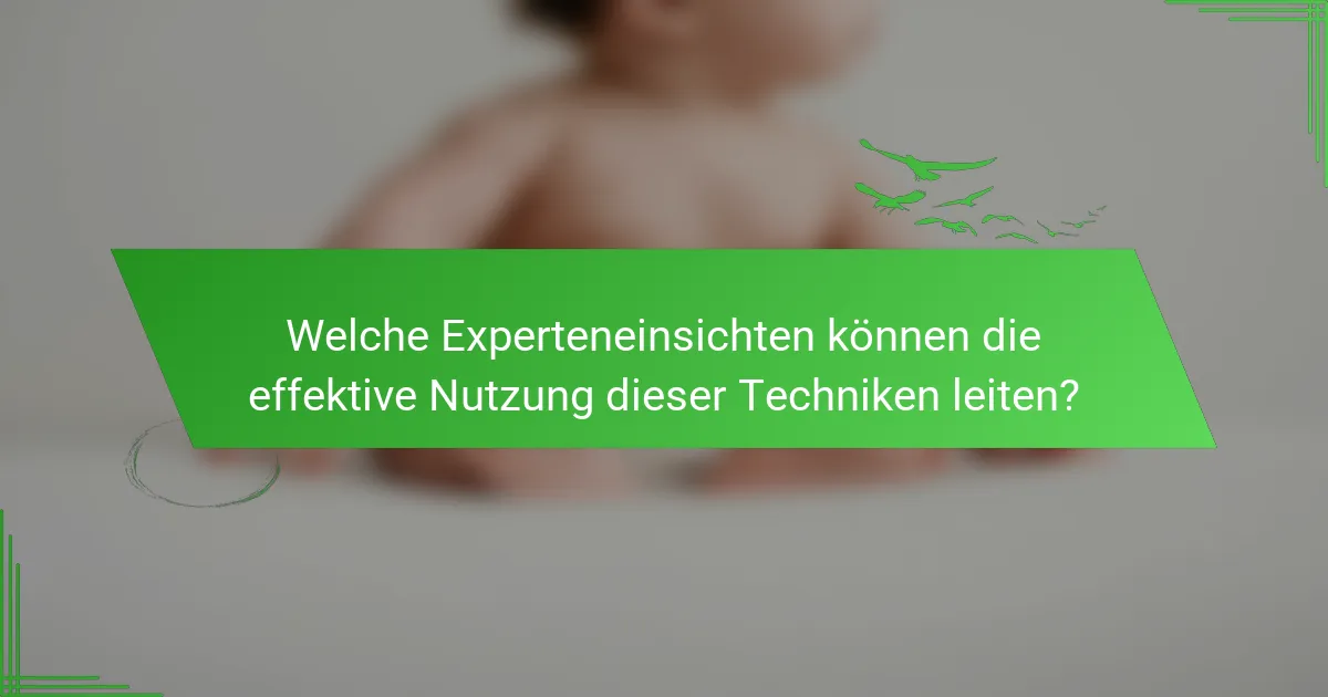 Welche Experteneinsichten können die effektive Nutzung dieser Techniken leiten?