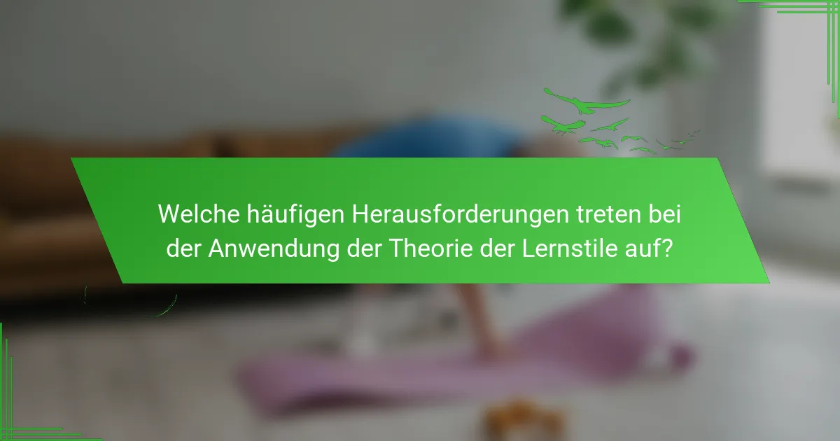 Welche häufigen Herausforderungen treten bei der Anwendung der Theorie der Lernstile auf?