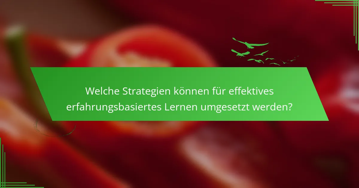 Welche Strategien können für effektives erfahrungsbasiertes Lernen umgesetzt werden?