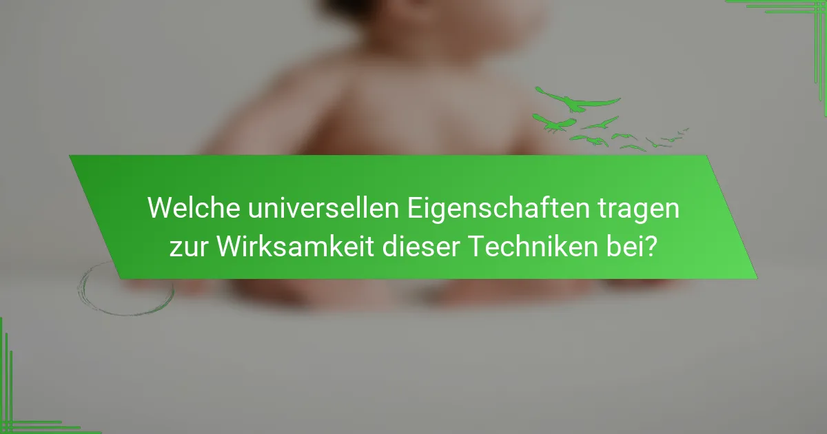 Welche universellen Eigenschaften tragen zur Wirksamkeit dieser Techniken bei?