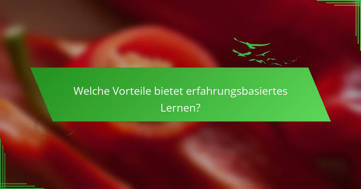 Welche Vorteile bietet erfahrungsbasiertes Lernen?