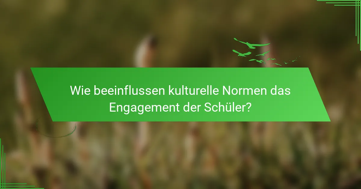Wie beeinflussen kulturelle Normen das Engagement der Schüler?