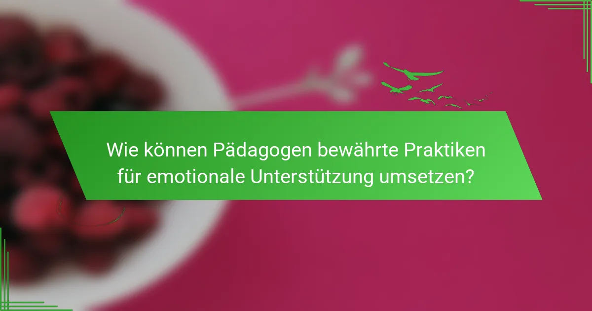 Wie können Pädagogen bewährte Praktiken für emotionale Unterstützung umsetzen?