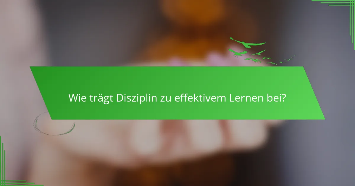 Wie trägt Disziplin zu effektivem Lernen bei?