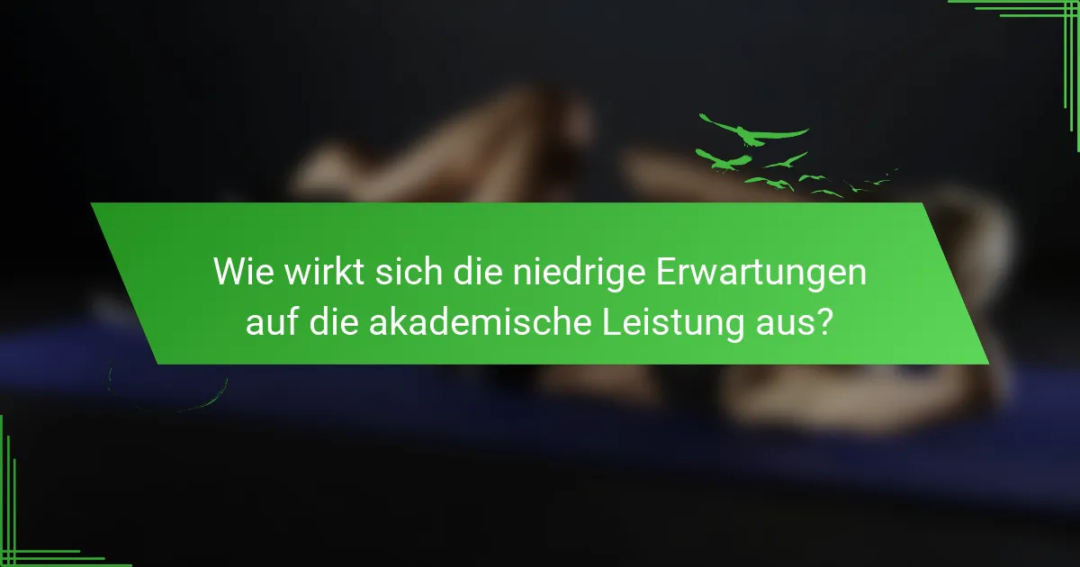 Wie wirkt sich die niedrige Erwartungen auf die akademische Leistung aus?